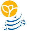 Parsian-Inc-logo-LimooGraphic